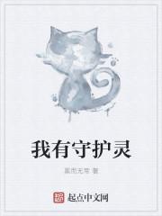 天下吾敌百度百科