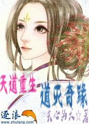 天道奇书
