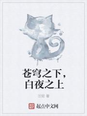 苍穹之下是什么意思?