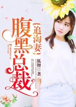 腹黑总裁追萌妻